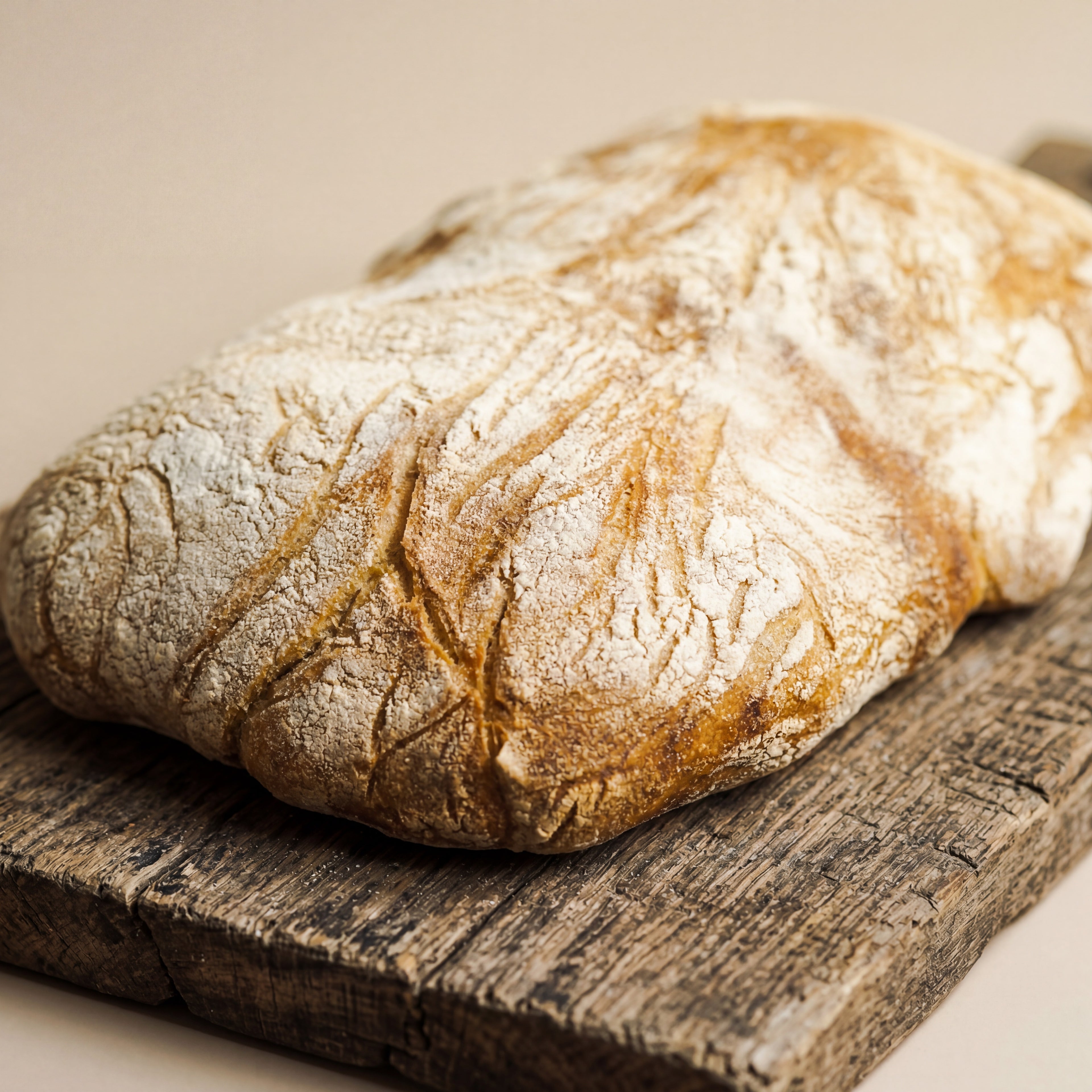 Organic Ciabatta Bread